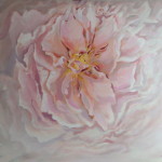 Pink Peony Painting by Kamille Saabre
