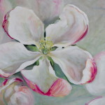 Apple tree blossom painting