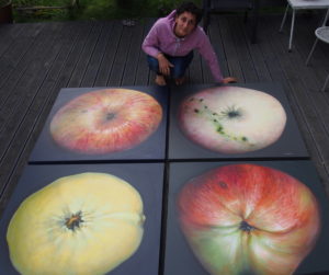 apple paintings kamille saabre